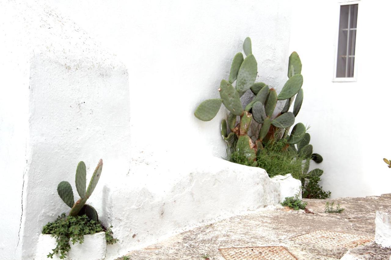 Monolocale Ilporticciolovacanze Villanova di Ostuni Exterior foto